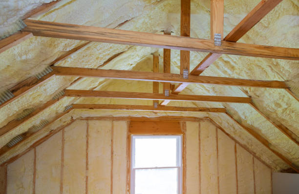 Best Insulation Replacement Services  in La Junta, CO