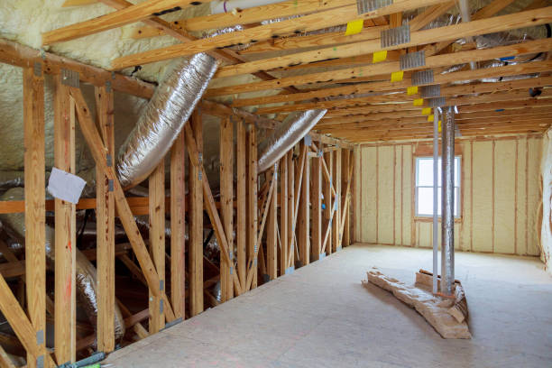 Best Insulation Removal Services  in La Junta, CO