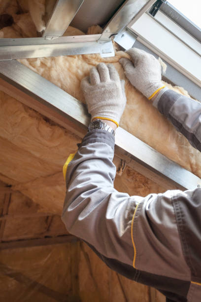 Best Commercial Insulation Contractor  in La Junta, CO