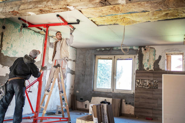 Best Wall Insulation Contractor  in La Junta, CO