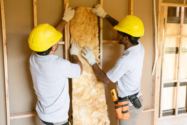 Best Professional Insulation Contractor  in La Junta, CO