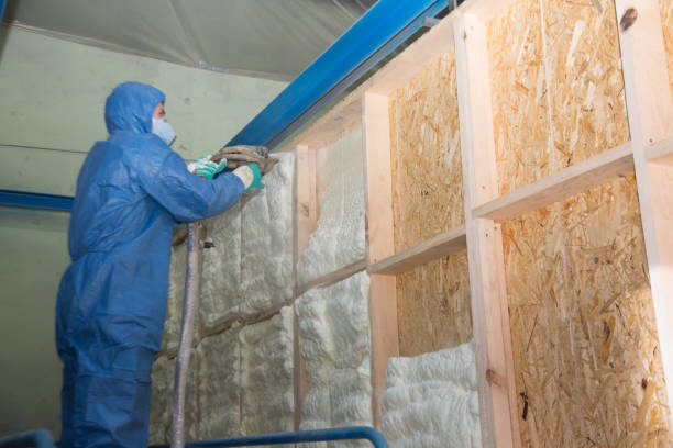 Best Cellulose Insulation  in La Junta, CO