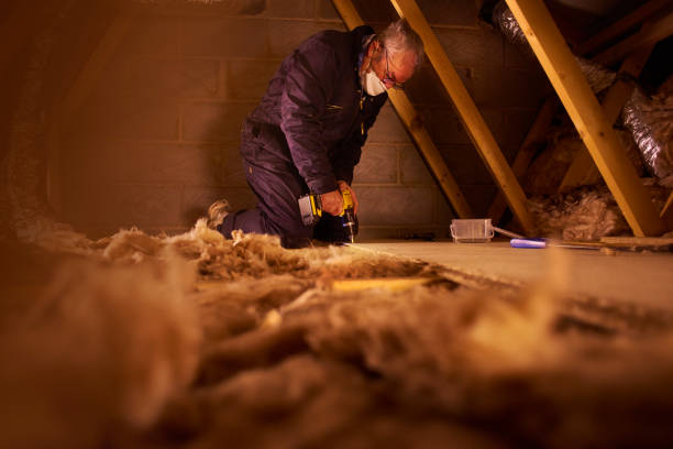 Best Blown-in Insulation  in La Junta, CO