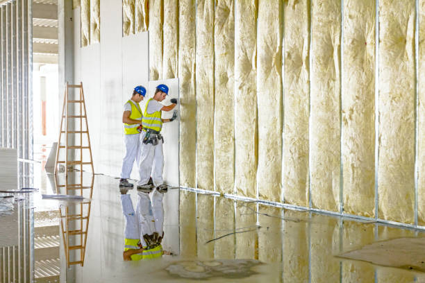 Best Insulation for New Construction  in La Junta, CO